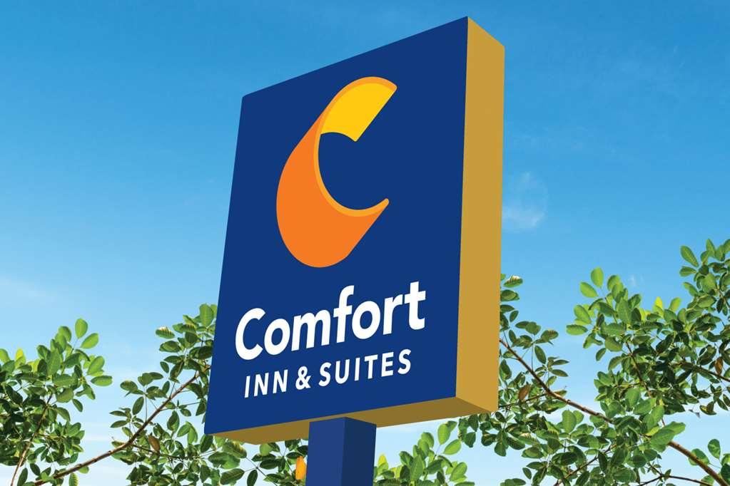 Comfort Inn & Suites Carrollton Dış mekan fotoğraf